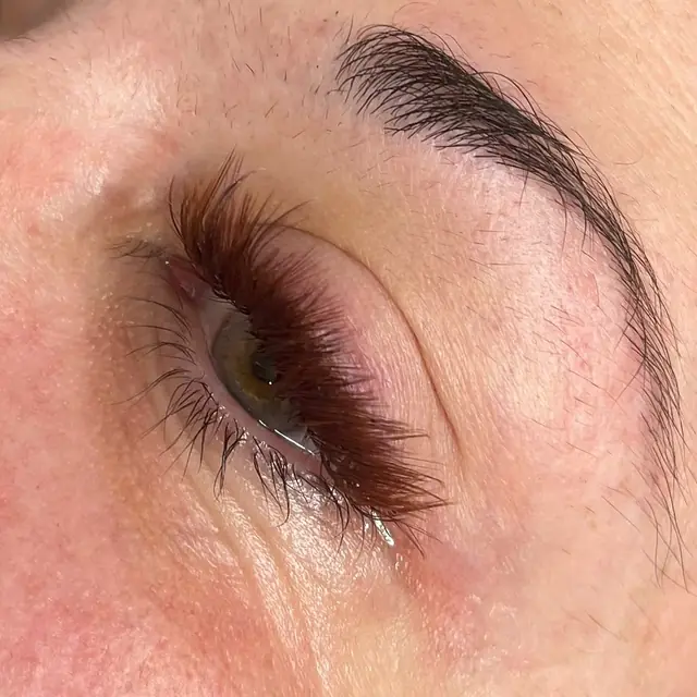 Brown lash extensions by Whiplash, LLC in Manitowoc, WI
